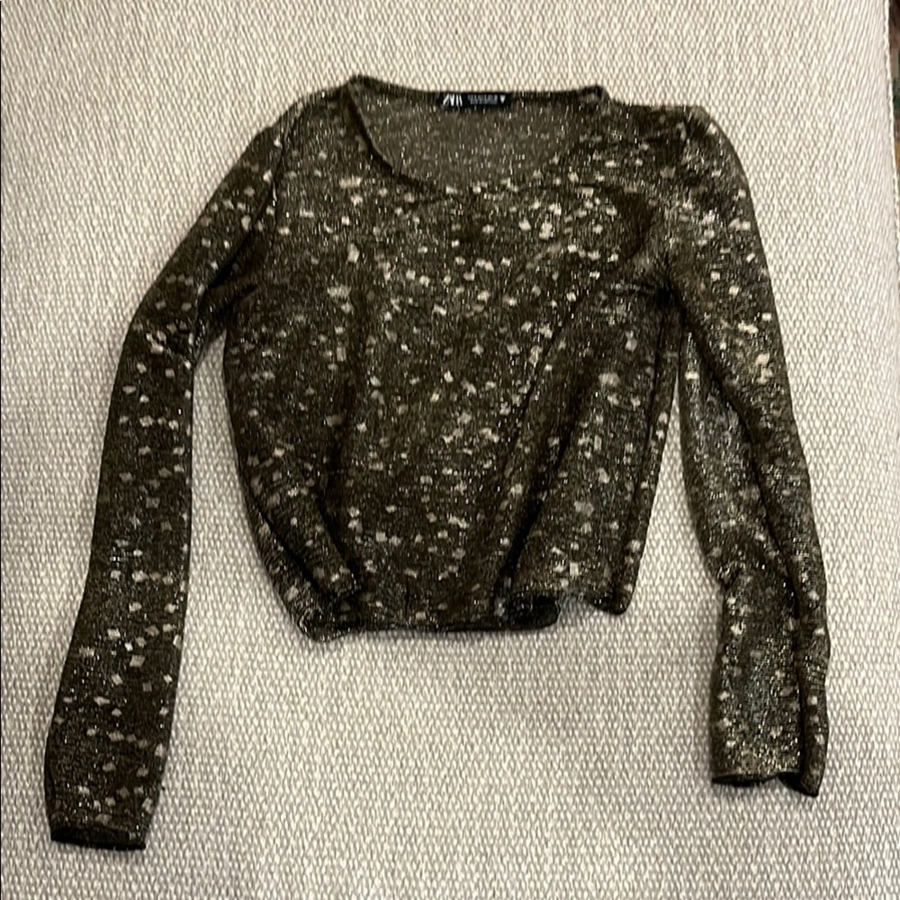Zara Metallic Knit Top